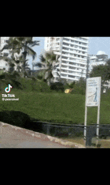 a tik tok video of a park with a sign that says peersival on it