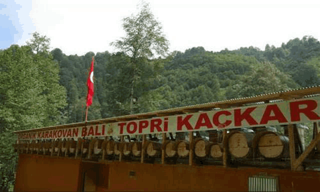 a wooden building with a sign that says `` topri kackar '' on it in front of a forest .