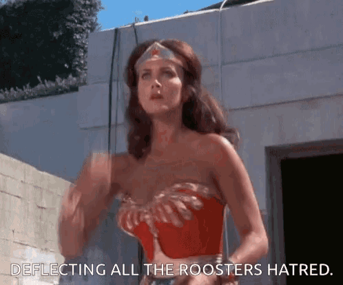 a woman in a wonder woman costume says " deflecting all the roosters hatred .. "