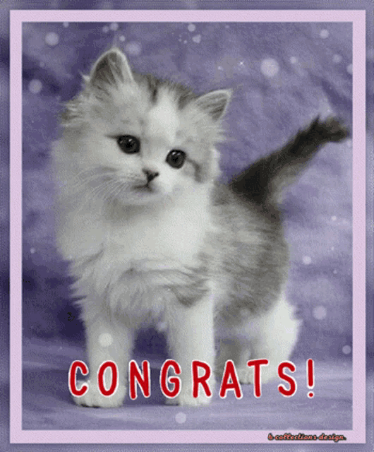 Congrats Congratulations GIF - Congrats Congratulations Images GIFs