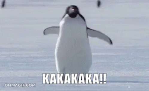 Penguin Ice GIF - Penguin Ice Kakakaka GIFs