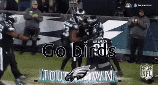 Go Birds Touchdown GIF - Go Birds Touchdown Football GIFs