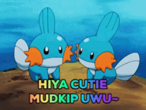 Mudkip Cute Mudkip GIF - Mudkip Cute Mudkip Lily GIFs
