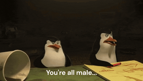 two penguins are sitting at a table with the words " you 're all male "