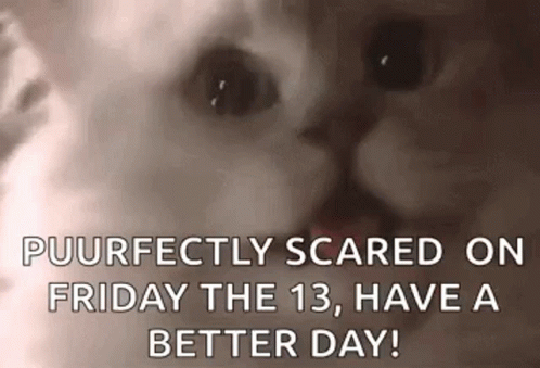 Cat Scared GIF - Cat Scared Friday The13 GIFs