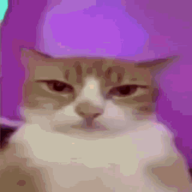 a close up of a person 's face with a purple background .