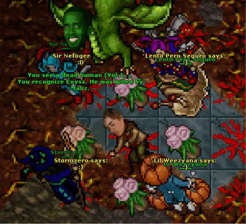 a screenshot of a video game shows a man laying on the ground with flowers and says " you see a dead human "