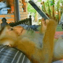 a monkey is laying on a couch holding a cell phone