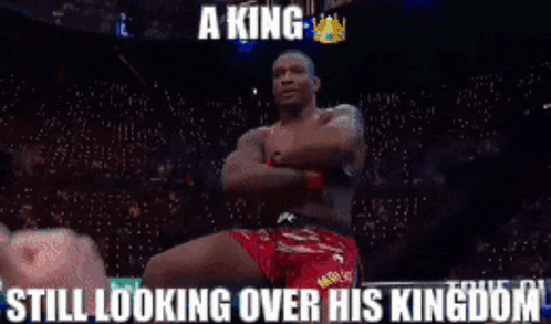 a king is still looking over his kingdom in a boxing match
