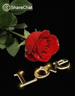 Love लाल GIF - Love लाल गुलाब GIFs