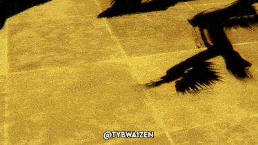 a shadow of a person on a tiled floor with the hashtag @tybwaizen below it
