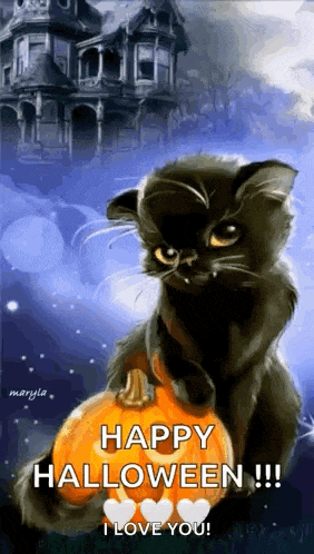 a black cat is sitting on top of a pumpkin with the words `` happy halloween !!! i love you '' written on it .