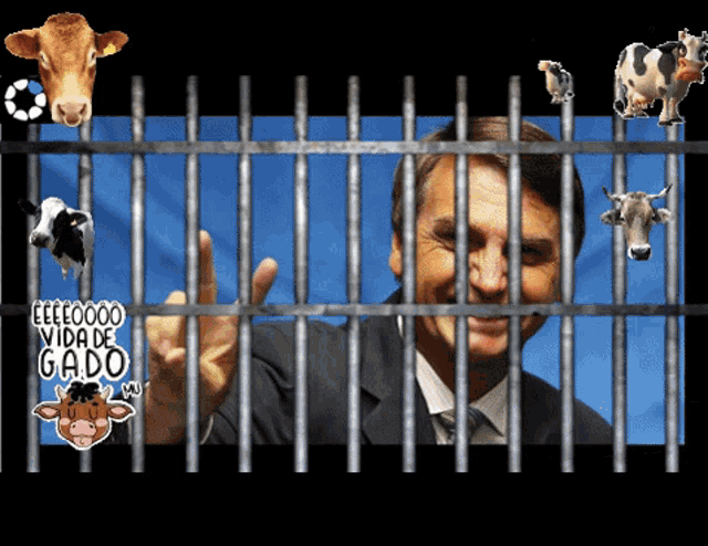 Bolsonaro Jair Bolsonaro GIF - Bolsonaro Jair Bolsonaro Jail GIFs
