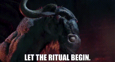 a close up of a bull with the words `` let the ritual begin '' .