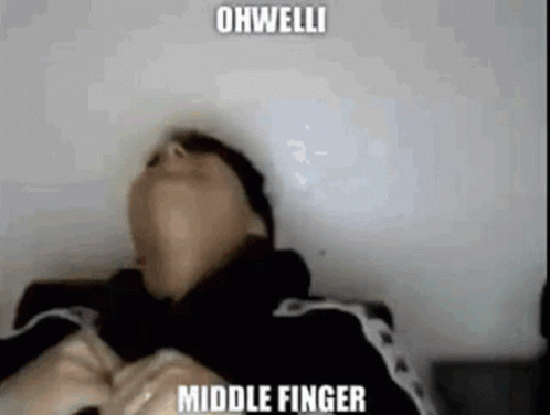 Oh Welli Middle Finger GIF - Oh Welli Middle Finger Fu GIFs