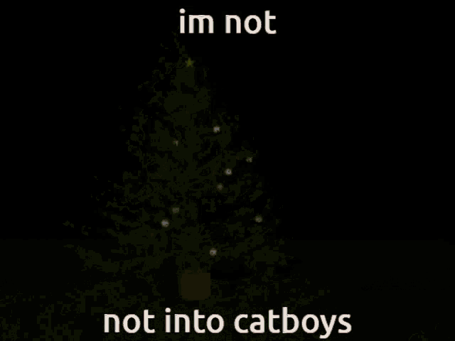 a christmas tree with a drawing of a cat and the words " im not not into catboys " on the bottom