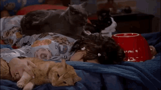 a person is laying on a bed with cats and a red bowl