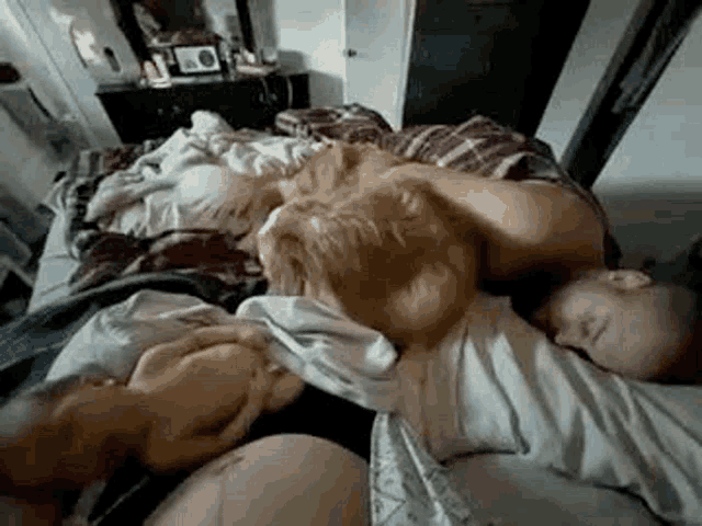 a man is sleeping on a bed with a dog .