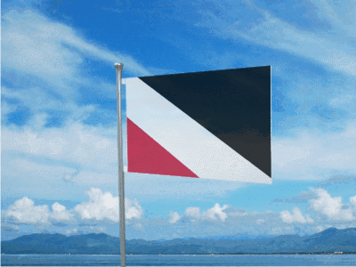Amaria Flag GIF - Amaria Flag Empireofamaria GIFs