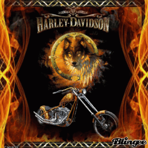 Harley Davidson Bike GIF - Harley Davidson Bike Motorcycle GIFs