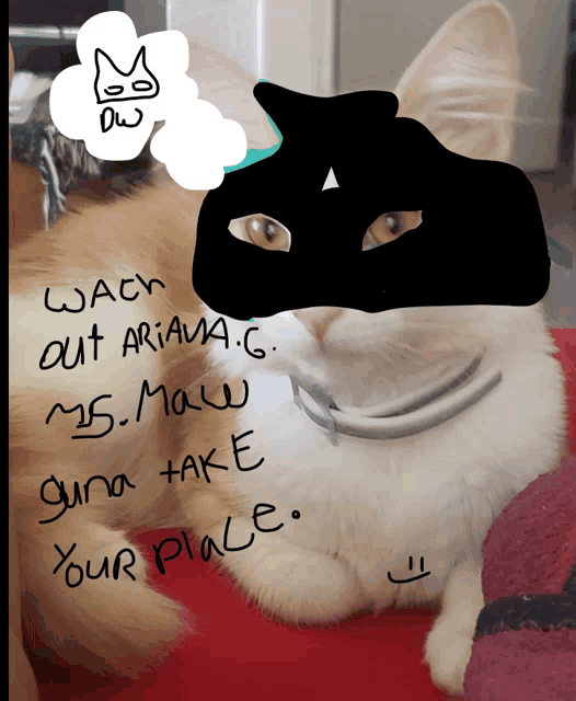 a drawing of a cat with the words " wach out ariana " written above it