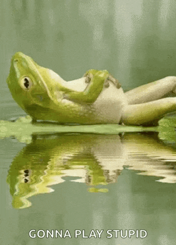 a frog laying on a leaf in the water with the words gonna play stupid below it