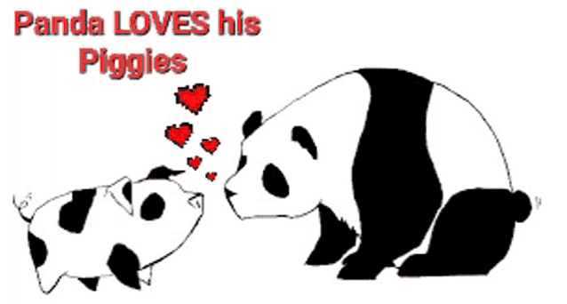 a panda bear kissing a pig with the words panda loves his piggies above it