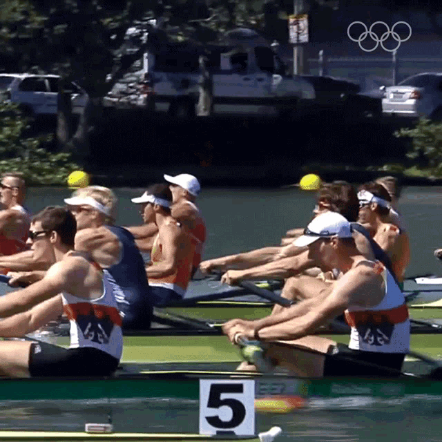 Rowing Olympics GIF - Rowing Olympics Sculling Boat GIFs