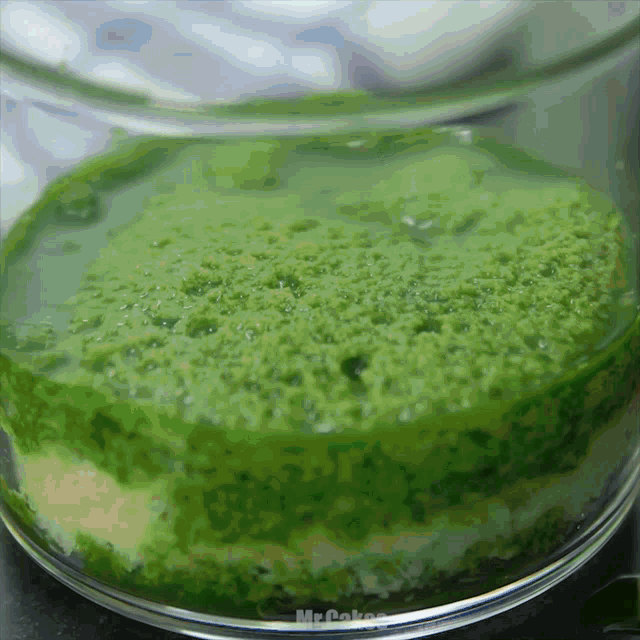 a close up of a green liquid in a glass with the words mr cakes written on the bottom