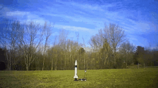 a white rocket is sitting in a grassy field with trees in the background