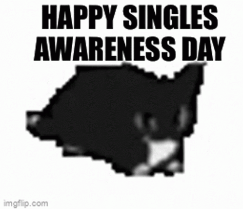 Single Singles Awareness Day GIF - Single Singles Awareness Day Cat GIFs
