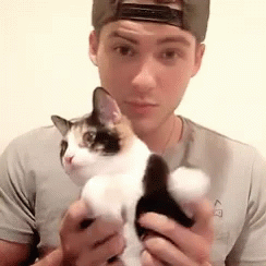 Cody Christian Cat GIF - Cody Christian Cat Cute Animal GIFs
