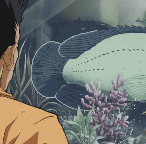 a man looking at a fish in the water