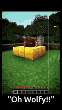 a screenshot of a minecraft game with the words " oh wolfy !! "