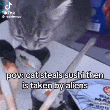 a cat steals sushi then is taken by aliens ..