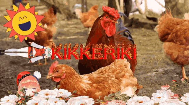 a rooster is surrounded by other chickens and the word kikkerui is visible