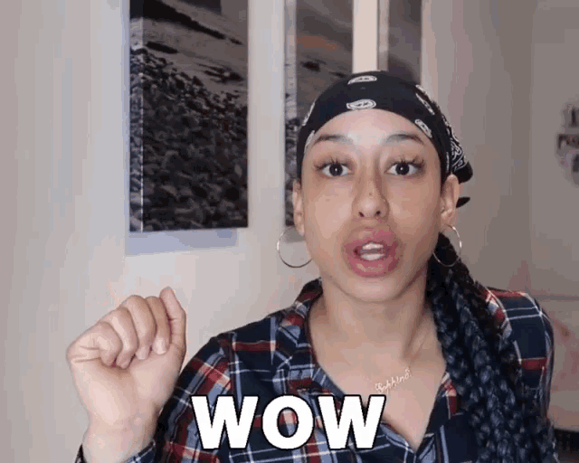 a woman in a plaid shirt says wow