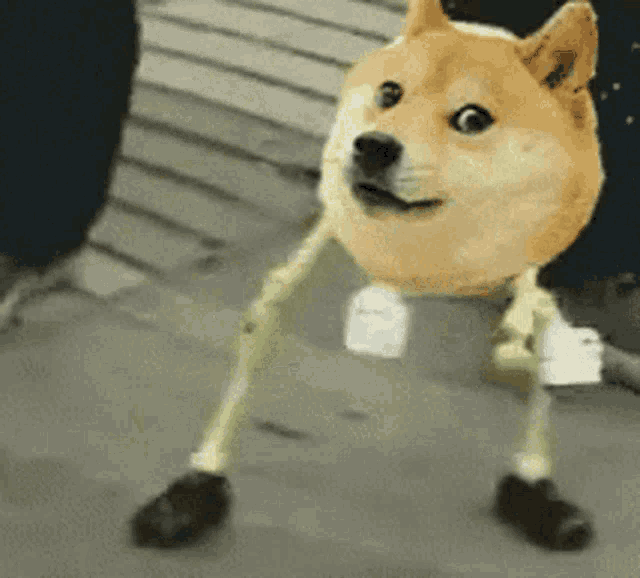 a dog wearing a pair of skeleton arms and legs is standing on a sidewalk .