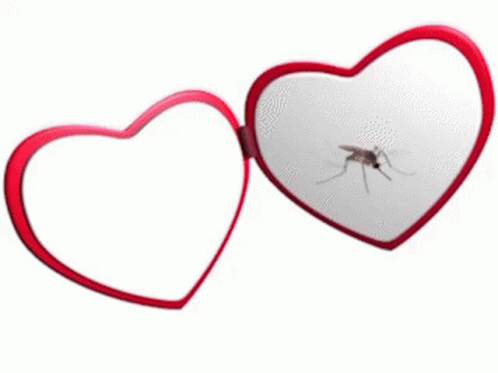 Musquito Bug GIF - Musquito Bug Heart GIFs