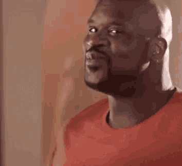 a bald man with a beard wearing a red shirt is smiling .