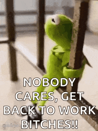 kermit the frog is hanging on a railing and says `` nobody cares , get back to work bitches !! ''