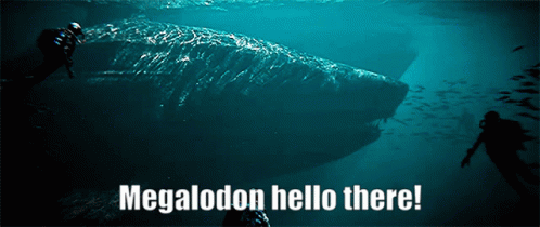 Megalod Megalodon Shark GIF - Megalod Megalodon Shark Megalodon GIFs