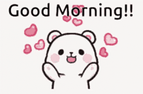 Good Morning Bear GIF - Good Morning Bear Cute GIFs