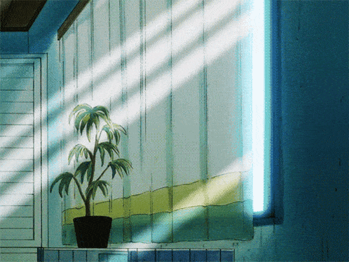 a potted plant sits on a window sill in front of a window