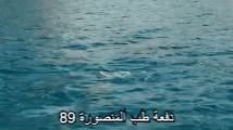 Dolphin Swimming GIF - Dolphin Swimming Sea GIFs