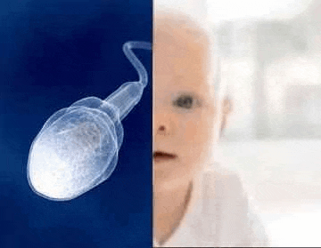 there is a picture of a baby and a picture of a sperm .