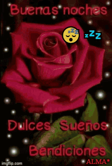 a bunch of red roses with a smiley face and zzz written on it