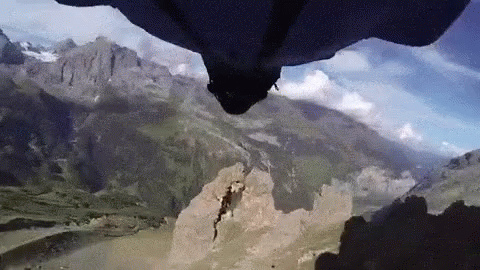 Raccoon Skydiving GIF