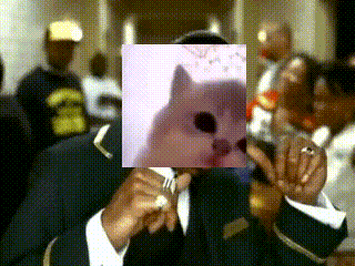 a man with a picture of a cat covering his face