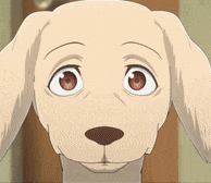 a close up of a cartoon dog 's face with a surprised look on his face .